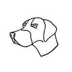 Good Boy discount code
